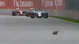 214718035-54c2e8a7-cc6d-44e2-9b17-39bfb5980a37